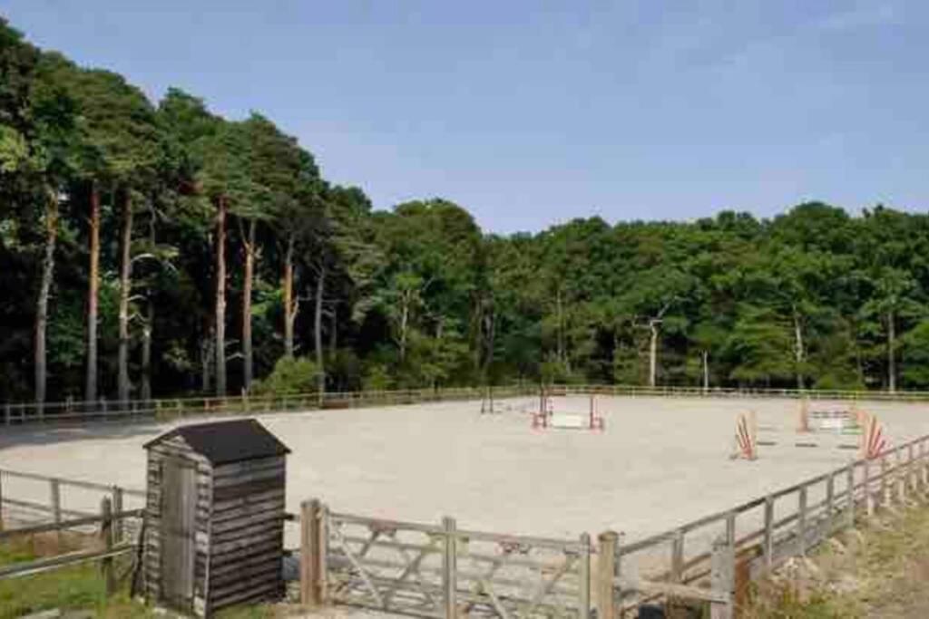 Langford Farmhouse - New Forest National Park Luxury 4Bd, Hot Tub, Cinema, 10 Acres Bartley Dış mekan fotoğraf