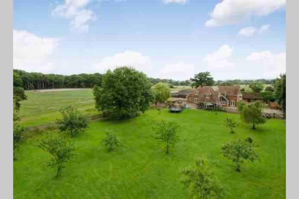 Langford Farmhouse - New Forest National Park Luxury 4Bd, Hot Tub, Cinema, 10 Acres Bartley Dış mekan fotoğraf