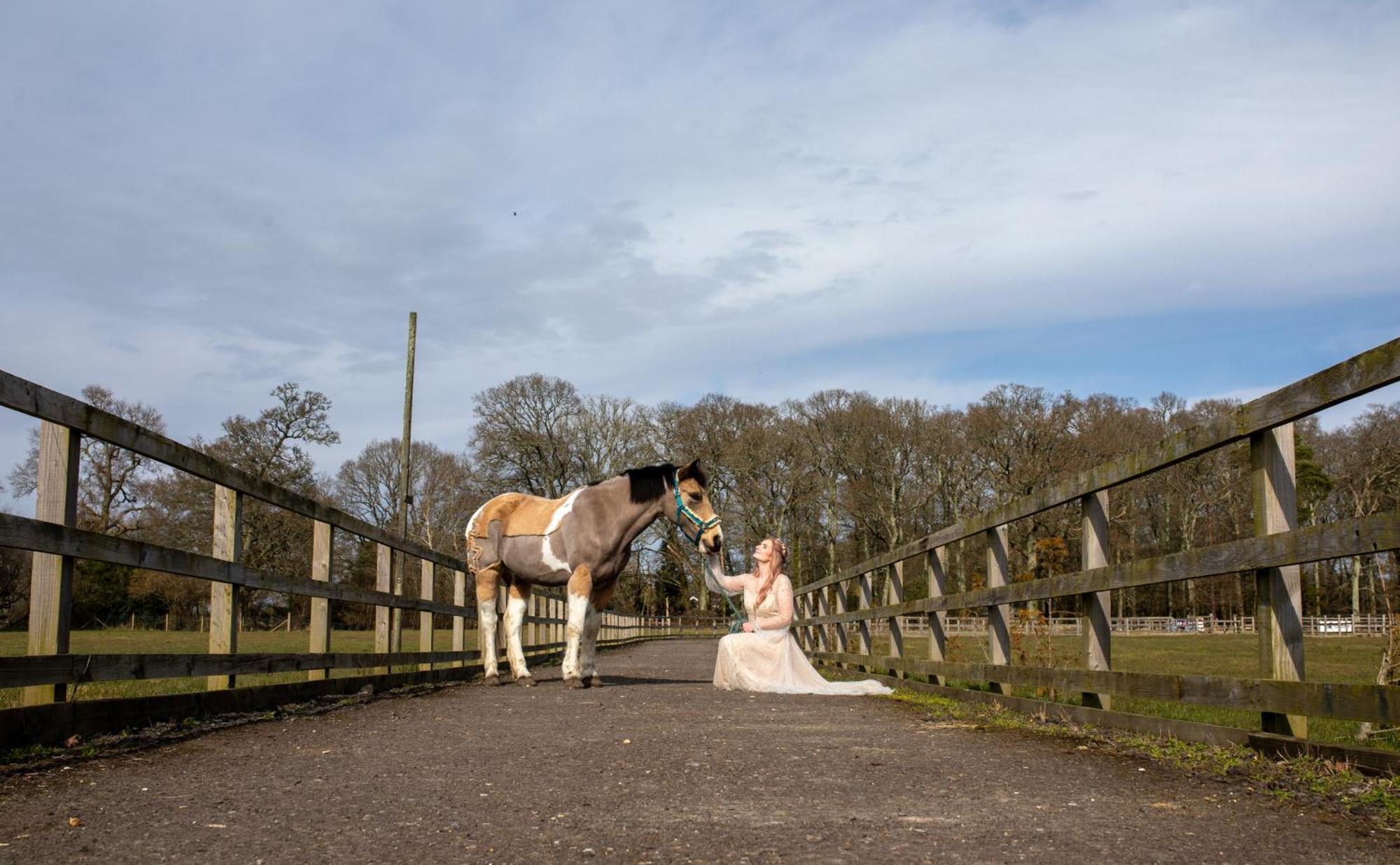 Langford Farmhouse - New Forest National Park Luxury 4Bd, Hot Tub, Cinema, 10 Acres Bartley Dış mekan fotoğraf